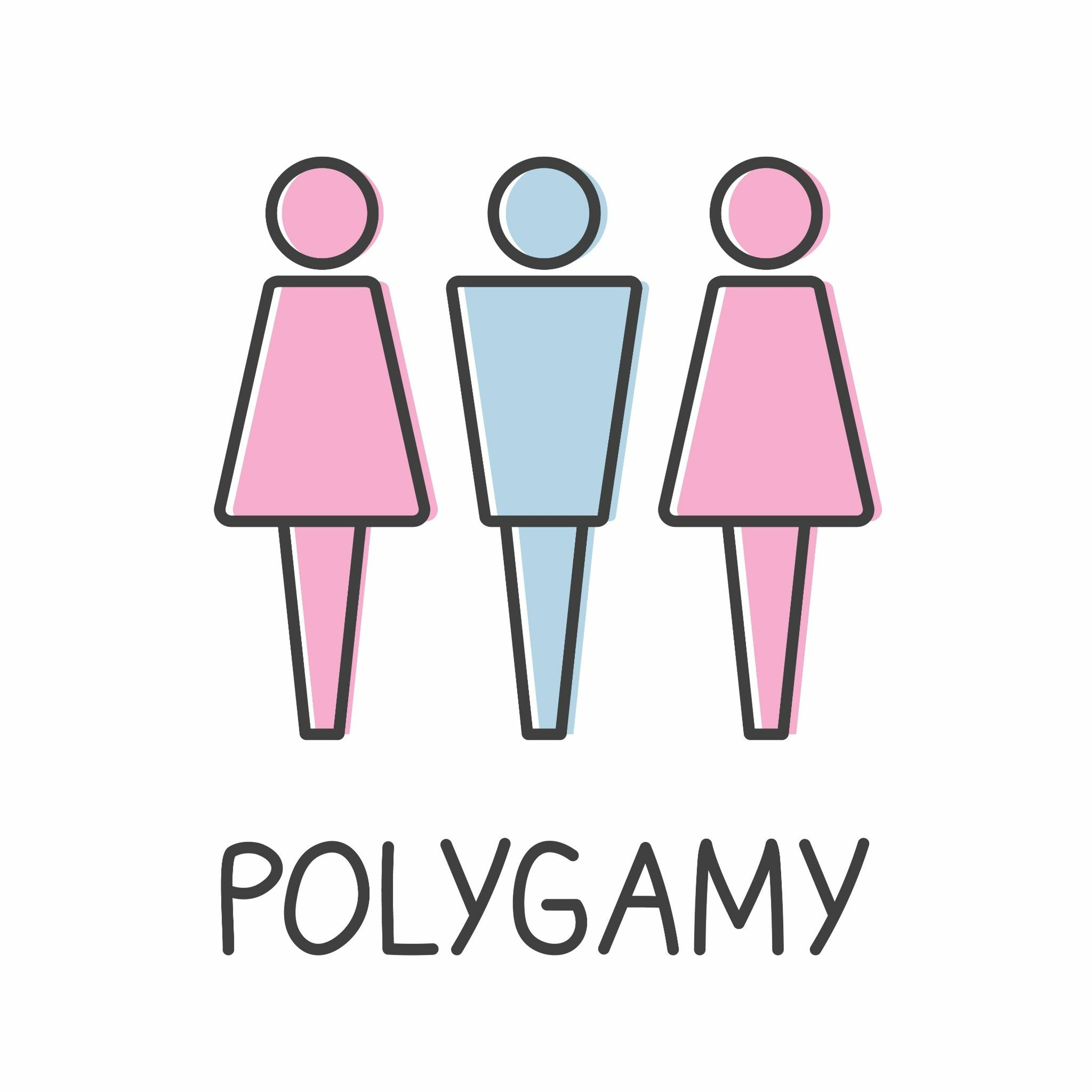 Polygamy In The Bible episode artwork