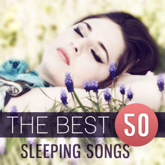 Music to Help You Sleep: Light Stormy Night and Birds