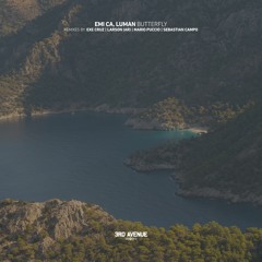Emi CA, Luman - Coral (Sebastian Campo Remix) [3rd Avenue]