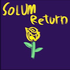 Solum Return (A Mary Megalo Strike Back)