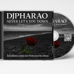 NEVER LET'S YOU DOWN