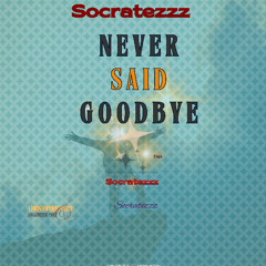 Never Said Goodbye