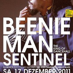 Sentinel feat Beenie Man at Kingston Hot, Club Rocker 33, Stuttgart, GER, 12.2011