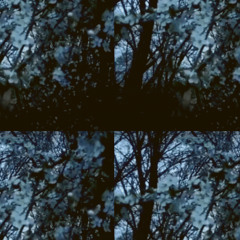 seein faces