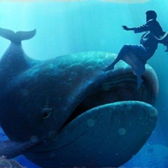 Estudo - A História De Jonas (2023.05.28)