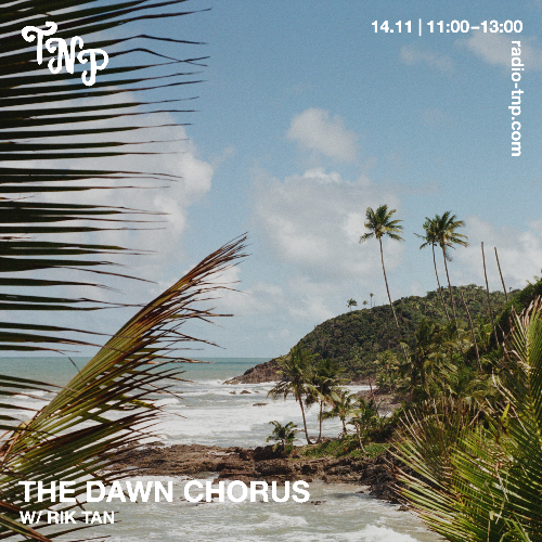 The Dawn Chorus w/ Rik Tan