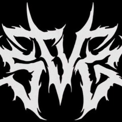 STVG  ID 2 0 2 5