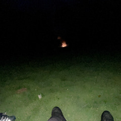 Switch Flows - Chris.Nxsh