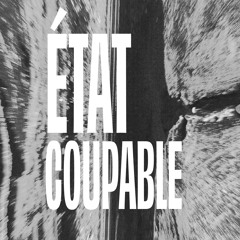 État Coupable (feat. Radwan Ghazi Moumneh)