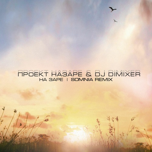 Проект НаЗаре & DJ Dimixer - На Заре (Somnia Remix)