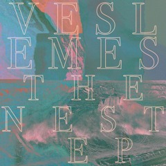 PREMIERE | Veslemes - Neon Pilgrims Stutter In The Daylight (Iñigo Vontier Remix) [Rotten City] 2021