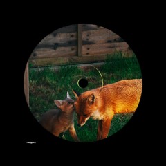 Metronomy x Biig Piig – 405 (Helgon Edit)