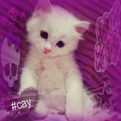 BU BIÇAKLAR DAMARIMI KESER