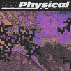 PALMSLP003 // DJ Physical - Silver Lake EP