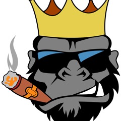 Tokisha  Trentisiete 3730 - Sistema Del Patio