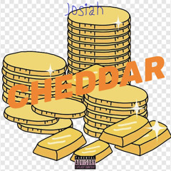 Josiah - Cheddar