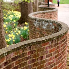 Beyond The Garden Wall
