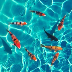 Tripple Billz - fishes in the well (prod. Shango) World Peace Collective