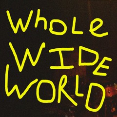 Whole Wide World - Cage The Elephant (wanye cover)