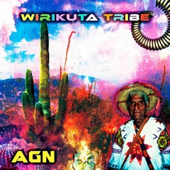 Wirikuta Tribe - AGN (Original Mix)