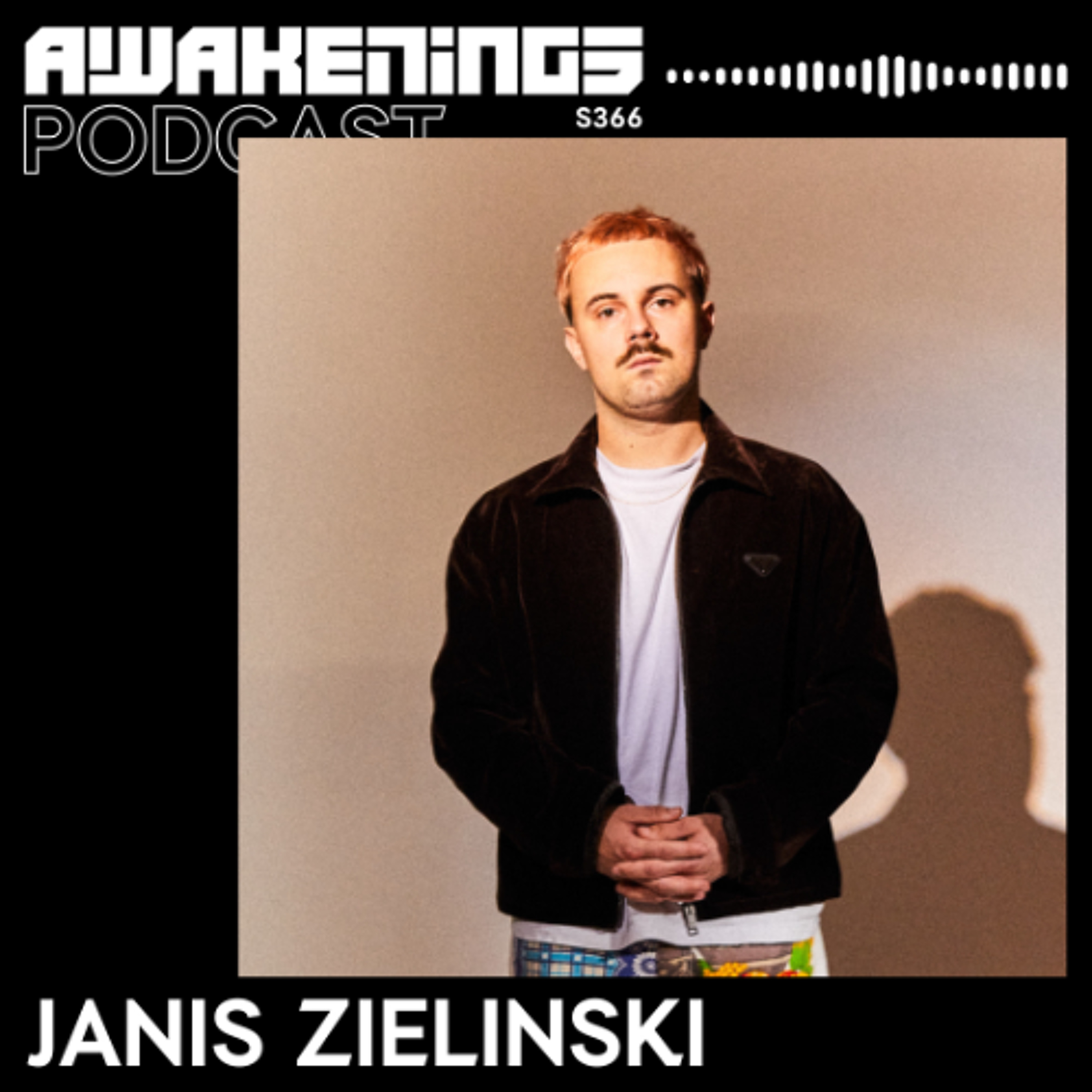 Awakenings Podcast S366 -  Janis Zielinski episode artwork