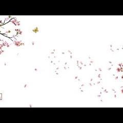 Chỉ Hỏi Nàng Có Bằng Lòng - Hồ Hạ (Minh Lan Truyện OST)