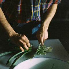 REFUNKT - 7 - The Sound Of Fermentation - The Push Buttons - 26.11.2025