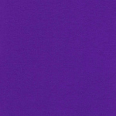 Violet's Color