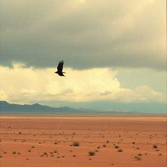 Dj.DamianR - The Wind That Set Me Free