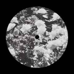 Gabriel Titier - Complex