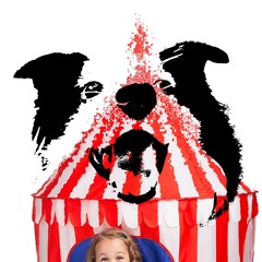 Here I Go (to The Circus)