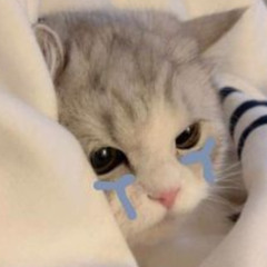 내 마음을 아프게 하다니 !!!