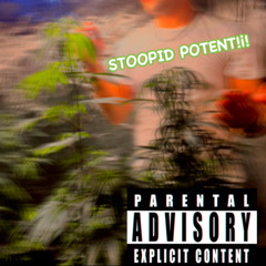 STOOPID POTENT