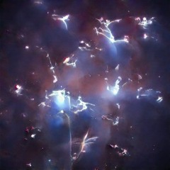 Virtual Safari - Halcyon