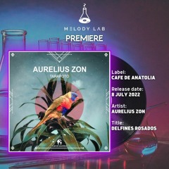 ML Premiere: Aurelius Zon - Delfines Rosados [Cafe De Anatolia]