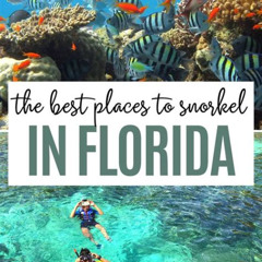Best Places To Snorkel In Florida Prices Reviews