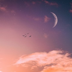 Jan Msetau - To The Moon
