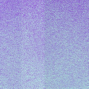 Le béguin pour Mimi Géniale (26.03.24)