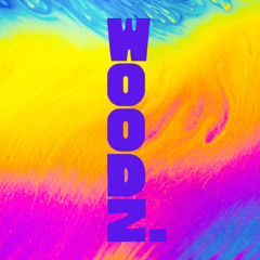 FIXY TALENTROOM 2025 - WOODZ.