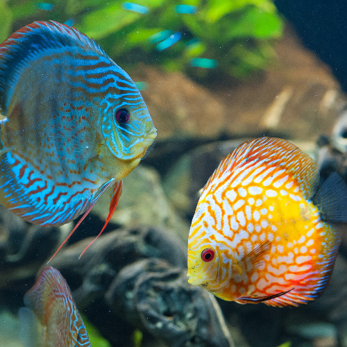 my experimental beat.....