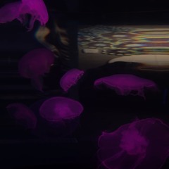 Bay B Sol Live Mix @ 620 Jones - Housewerk - Charythm