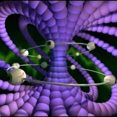 3zXd - psyop