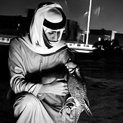 وليـفي مبـطي مـن مجـيه