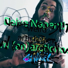 Delve Napenthe - Mr.Who'spcylosybinstew