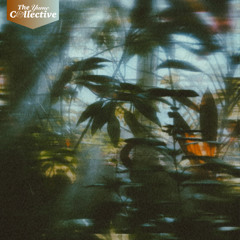 reOrder, Chill Yume - Amydrium