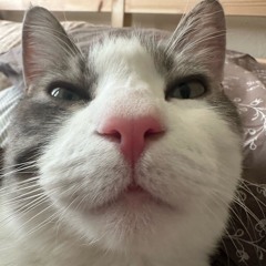 best wubstep ever….? Find out now [dj babykaho]