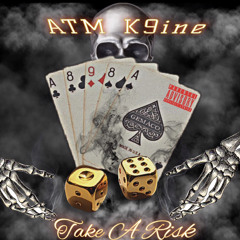 K9 - Take A Risk