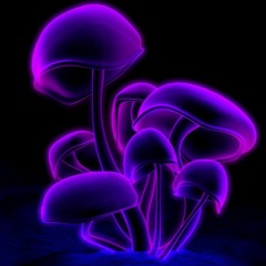 Nightflight 2020 - 11 - 09