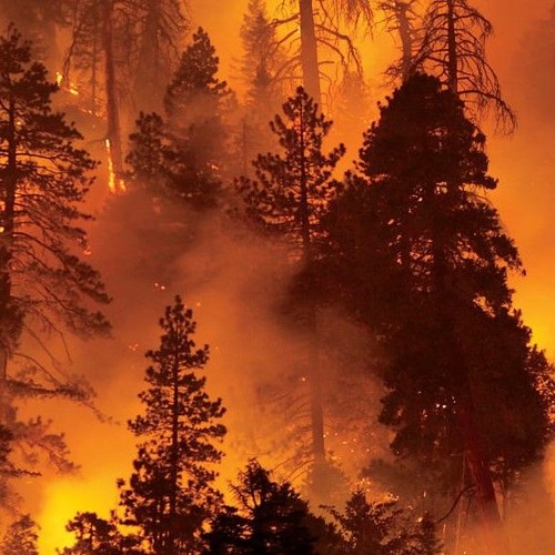 Firey End