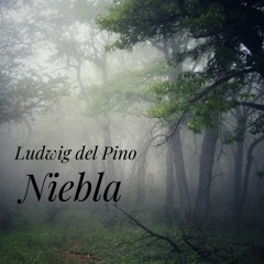 Niebla